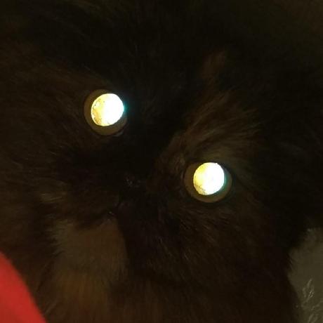 Timpushkin Timofei Pushkin Github - Premium Abstract Photo Gallery - Retina