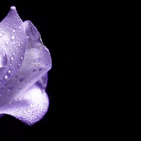 Alexei Xie Alexei Github - HD Dark Designs for Desktop