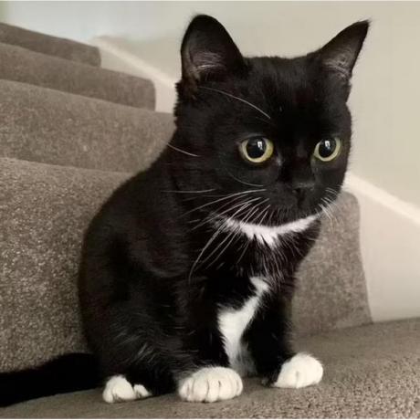 Gun Doit Github - Creative Gradient Illustration - Full HD