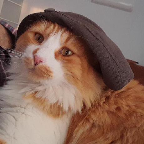 Sefetekin23 Efe Tekin Github - Ultra HD Landscape Illustrations for Desktop