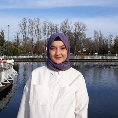 Ozgunezgi Ozgunezgi Github - Premium Sunset Art Gallery - 4K