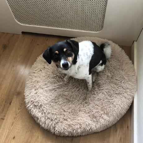 Semlog Github - 4K Light Arts for Desktop