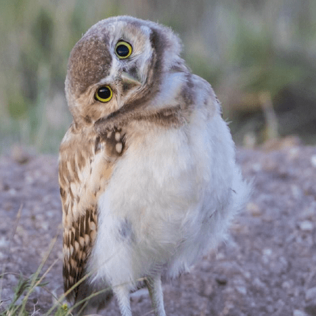 Github Egstar1 Solrtool Solr Solr - Premium Space Design Gallery - 8K