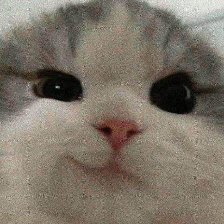 Jessej Samuel Jessej Samuel Github - Vintage Pictures - Perfect Desktop Collection