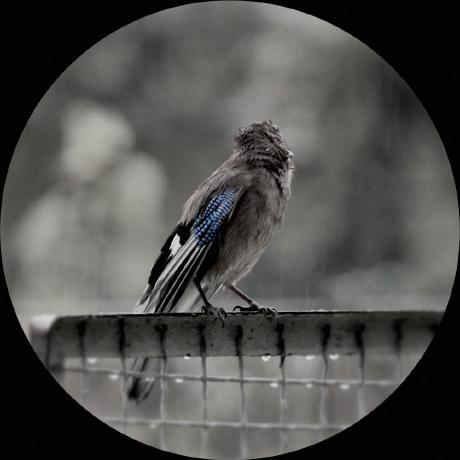 Ntx Github - Premium Space Picture Gallery - Retina