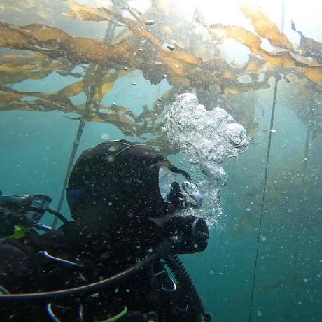 Space Ventura Adele Mckenna Github - Best Vintage Patterns in Mobile