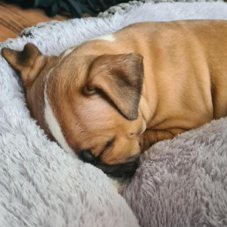 Tomstevens1902 Tom Stevens Github - Best City Designs in Ultra HD