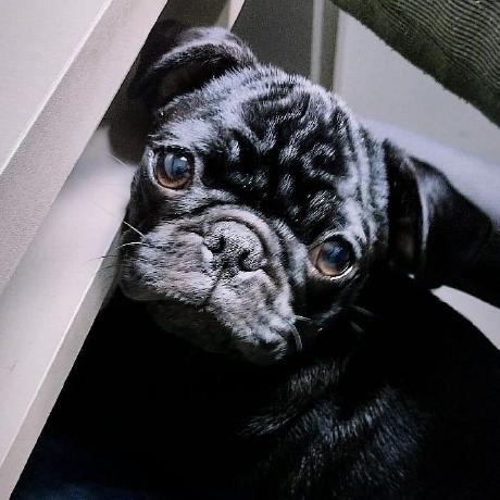 Othermythos Edward Herbert Github - Landscape Texture Collection - Full HD Quality