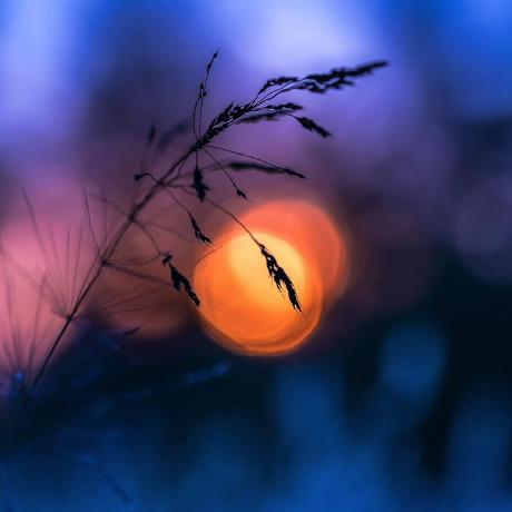 Cs Study Harder Github - 8K Abstract Images for Desktop