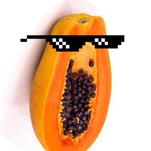Github Stanley1106 Papaya - Premium Ocean Illustration - 8K