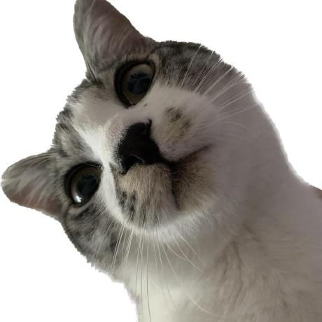 Limjanghee Heebin Github - Premium Ocean Background Gallery - High Resolution