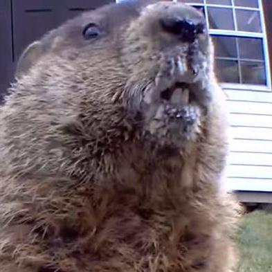 Cmt Source Cmt Github - Full HD Geometric Patterns for Desktop