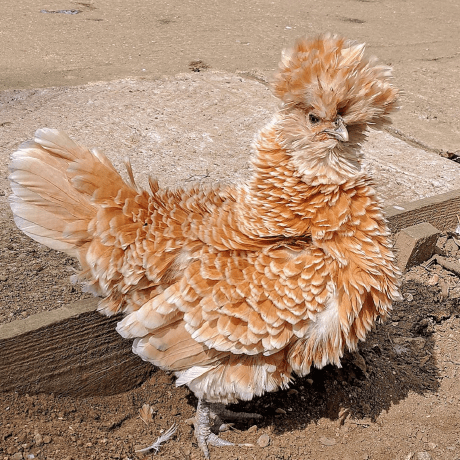 Gjones1 Gareth Jones Github - Retina Space Illustrations for Desktop