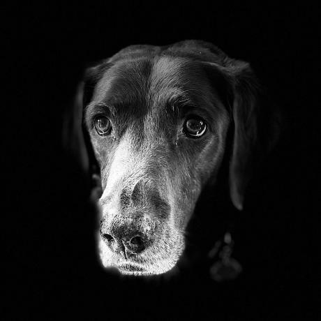 Scot Scot Github - Best City Images in 4K