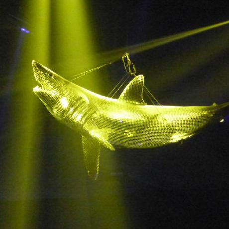 Junge Haie Github - Best City Illustrations in Ultra HD