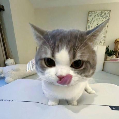 Denzel Denzel Github