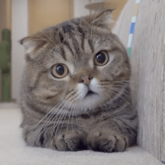 Githubsalsabil Salsabil Ben Soussia Github - Mountain Pictures - Gorgeous HD Collection