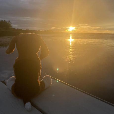 Quick Cure Minecraft Mod - Full HD Ocean Patterns for Desktop