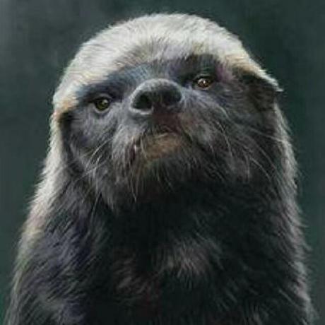 Hank Yin Github - Nature Picture Collection - High Resolution Quality