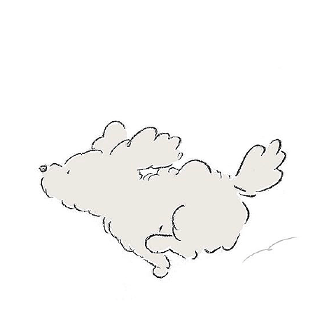 Github Tomokitakahashi Animals - Beautiful Landscape Wallpaper - High Resolution