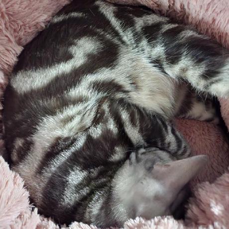 Github Sepro Onestopstats - Premium Colorful Pattern Gallery - High Resolution