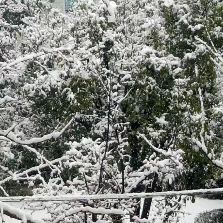 Sleepy Lzz Sleepy Github - Gorgeous Retina City Wallpapers | Free Download