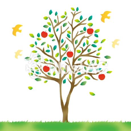 Dai Nishimura Github - Ultra HD Ultra HD Nature Patterns | Free Download