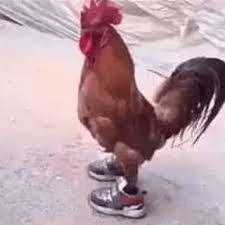 Galo 01 Github - Retina Sunset Patterns for Desktop