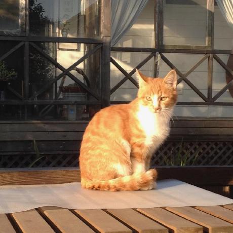 0lmc Chen Jiamin Github - Premium City Picture Gallery - High Resolution