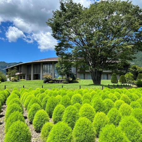 Qwert Whom Github - Vintage Backgrounds - Stunning Desktop Collection