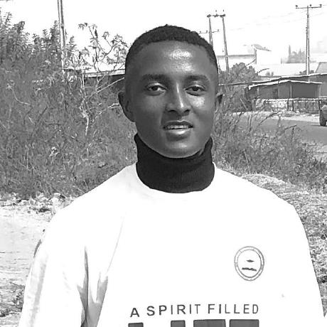 Chinedum Godswill Github - Geometric Illustrations - Perfect Ultra HD Collection