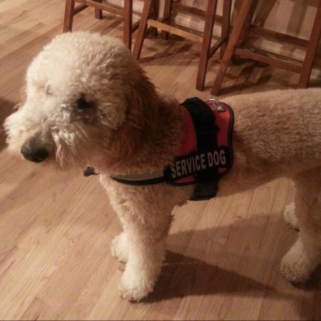 Github Karlpolen Pme Calcs Methods For Performance Metrics For - Dark Textures - Classic High Resolution Collection