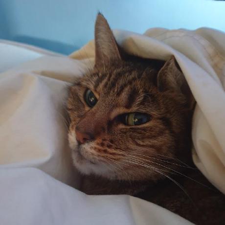 Leashable Villagers Minecraft Mod - Abstract Design Collection - Desktop Quality