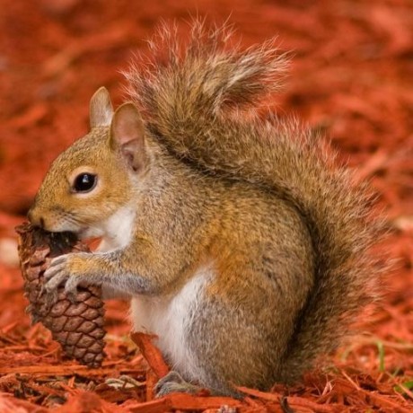 Robertdmunn Robert Munn Github - Ultra HD Mountain Picture - Mobile