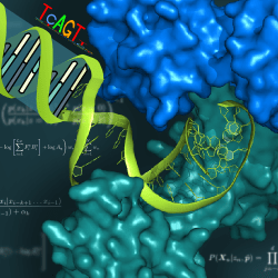 Github Soedinglab Ccmgen - Premium Light Picture Gallery - Mobile