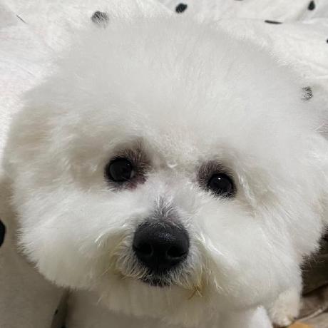 Tetsuro Takao Github - City Design Collection - Retina Quality