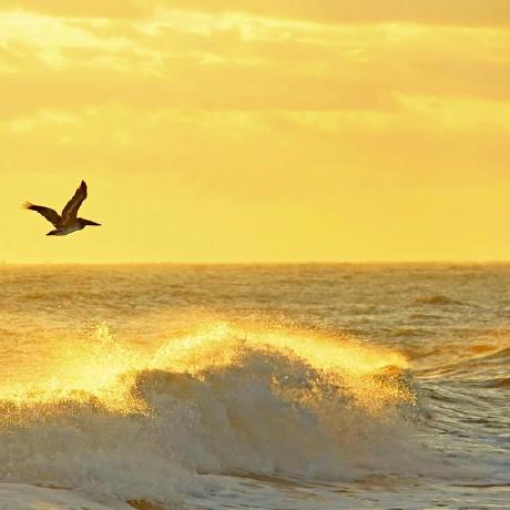 Davide Barca Davide Barca Github - Elegant 4K Minimal Textures | Free Download