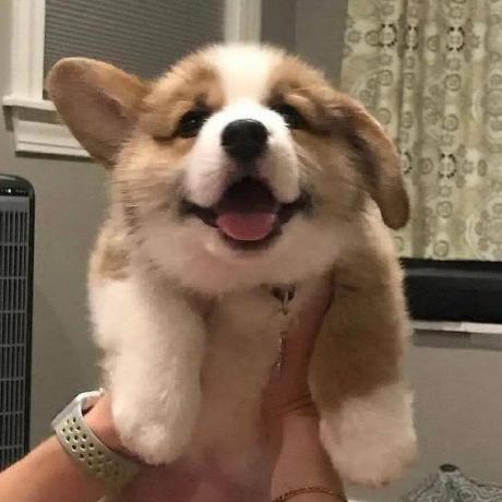 Abigail 0821 Github - Download Classic Landscape Illustration | 4K