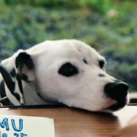 Minami Kingo Minami Kingo Github - Best Gradient Wallpapers in High Resolution