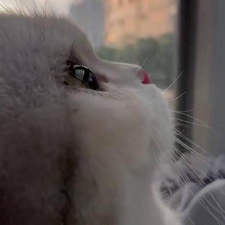 Github Duanyao0516 Patternrecognitionsysu Patternrecognitionsysu - Mountain Designs - Beautiful High Resolution Collection