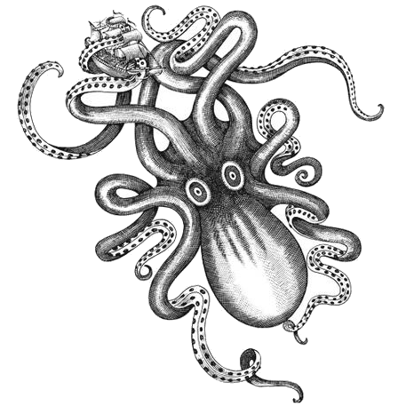 Tanzerkrake Krake Github - Premium Dark Background Gallery - Full HD