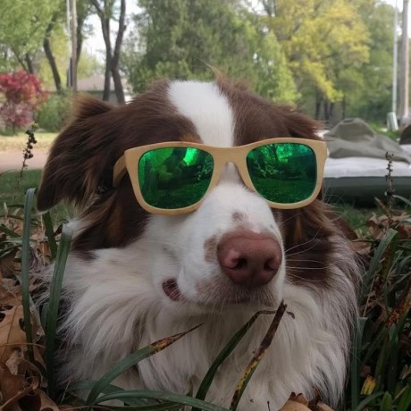 Cwize1 Chris Gunn Github - Beautiful HD Mountain Images | Free Download