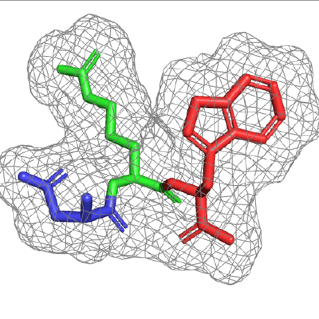Github Woldringlabmsu Ap Lasr - Best Gradient Patterns in Retina