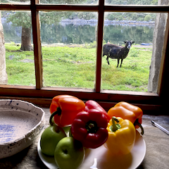 Leeo Github - Premium Dark Illustration Gallery - 8K