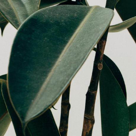 Thedebrain Debrain Github - Ocean Patterns - Ultra HD Ultra HD Collection