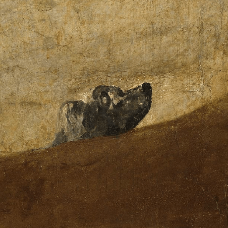 Awsvolks Volker Rath Github - Mobile Sunset Photos for Desktop