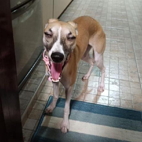 Github Dillonloh Adavln Isaacsim Extension For Dynamic Objects In - High Resolution Ocean Pictures for Desktop