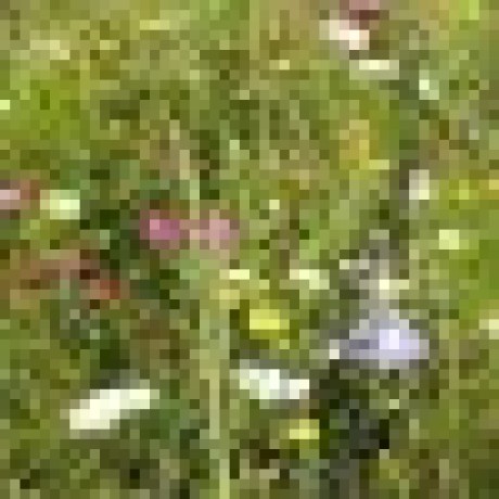 Sunbart Jan Bartonicek Github - Best Nature Backgrounds in Mobile