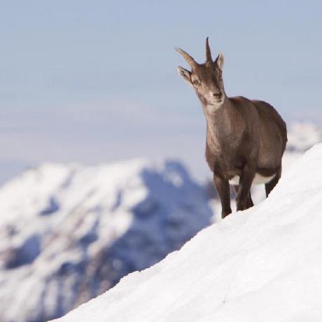 Mrmartineau Zander Martineau Github - Best Vintage Photos in High Resolution