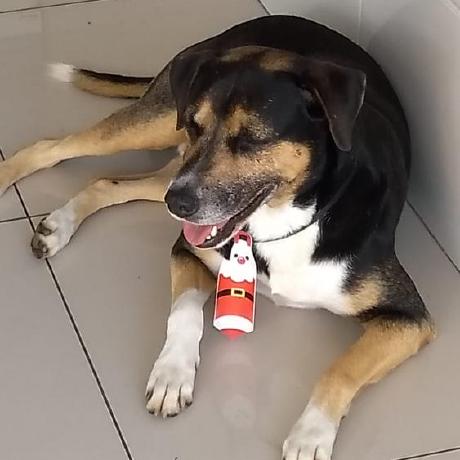 Github Leandrodcm Vac Checker - Dark Images - Amazing HD Collection